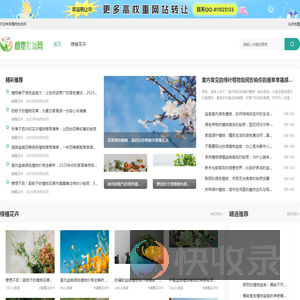 多肉植物批发网