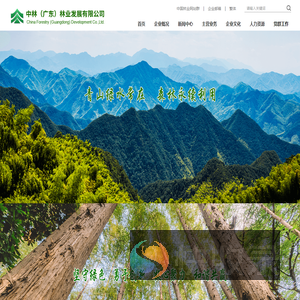 中林（广东）林业发展有限公司
