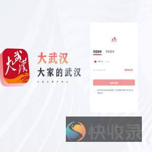 大武汉号