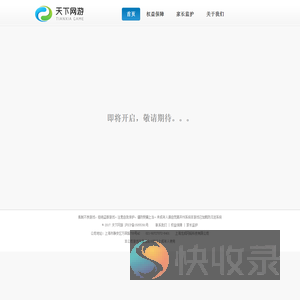 天下网游