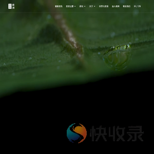 绿洲资本