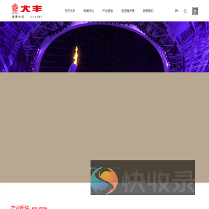 大丰实业
