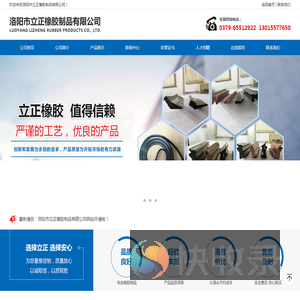 轴承密封圈