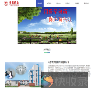 山东泰安鲁星药业有限公司