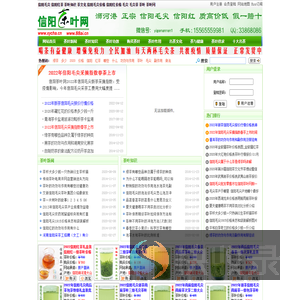 信阳毛尖