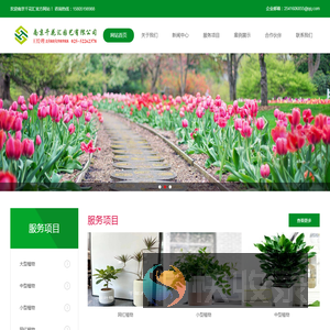 网红南京绿植租赁