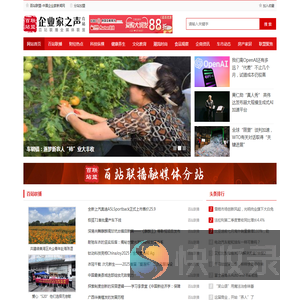 百站联盟