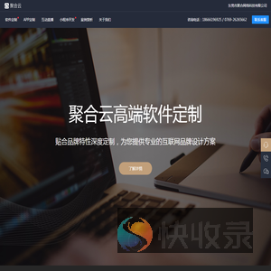 软件定制