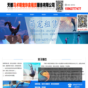 百鸟展