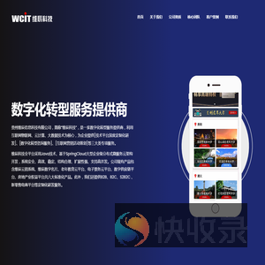 贵州维辰信息科技有限公司