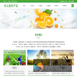 重庆村之蔬农产品配送有限公司