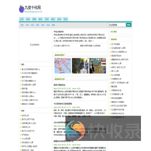 九变十化网