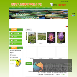 龙海市九品莲花花卉专业合作社