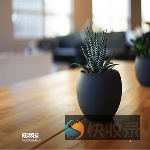 闪灵科技