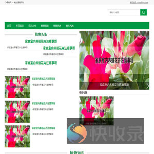 CN植物网
