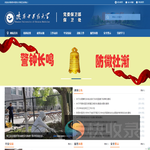 党委保卫部（保卫处）