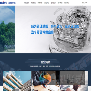 江苏奥力威传感高科股份有限公司