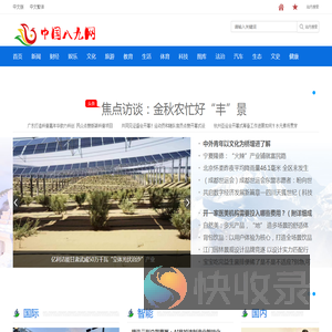 八九网