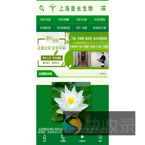 灭鼠公司