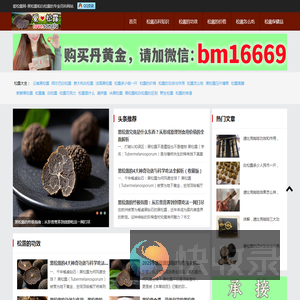 爱松露网