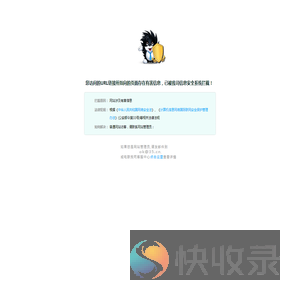 信息安全系统