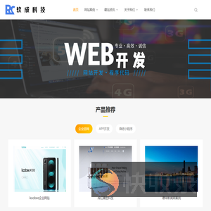 深圳网站开发