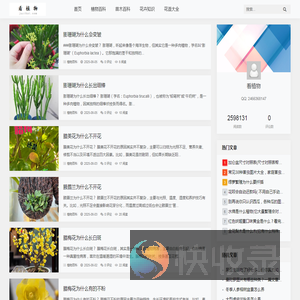 看植物