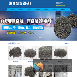 沧州钢砂钢丸