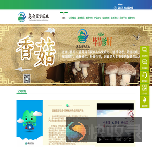 高原蓝梦菇业