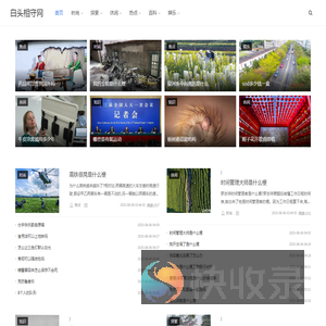 白头相守网