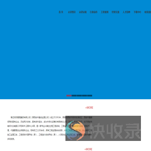 普迈项目管理集团有限公司