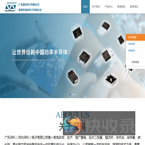 广东深科（深圳深科）电子有限公司