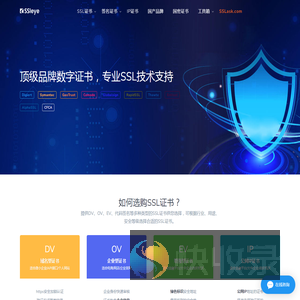 SSL/HTTPS证书