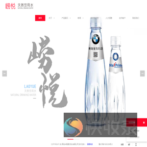 广告水