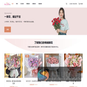诺朵儿花网