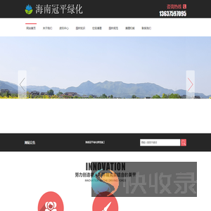 海口大树树枝高空修剪庭院花园清理运输
