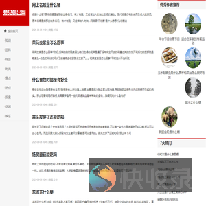 旁见侧出网