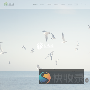 杉杉企业