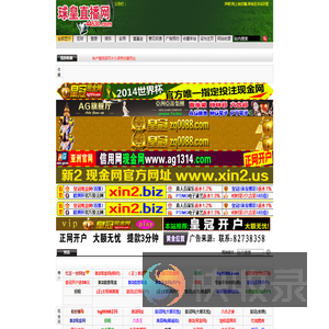 球皇直播网