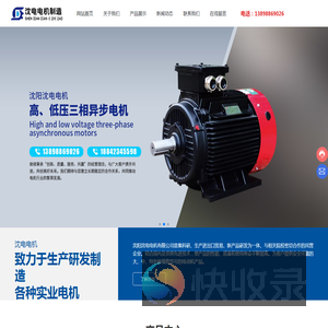 沈阳沈电电机制造有限公司