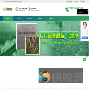 重庆泥鳅苗,重庆泥鳅养殖技术,重庆黄鳝苗,重厚农业