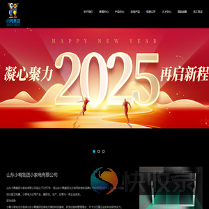 山东小鸭集团小家电有限公司