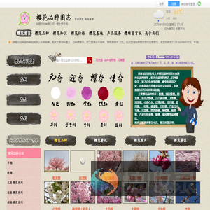 垂枝樱