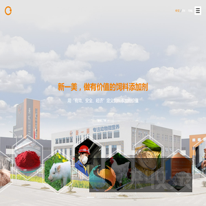 绵阳市新一美化工有限公司