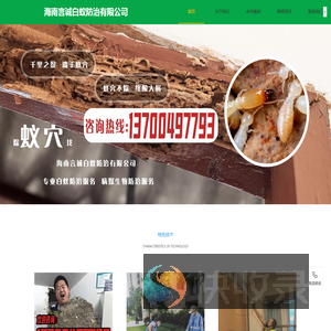 海南言诚白蚁防治有限公司