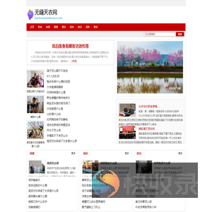 无缝天衣网