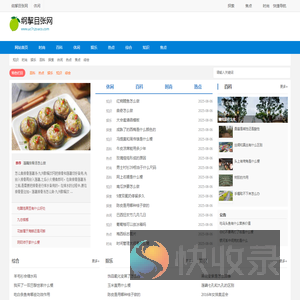纲挈目张网