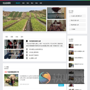 吐丝自缚网