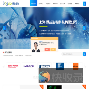 小动物脑部核磁MRI扫描