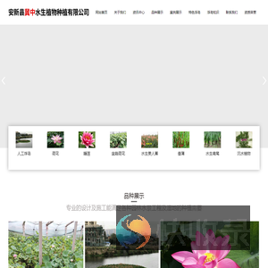 安新县冀中水生植物种植有限公司